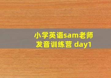 小学英语sam老师发音训练营 day1